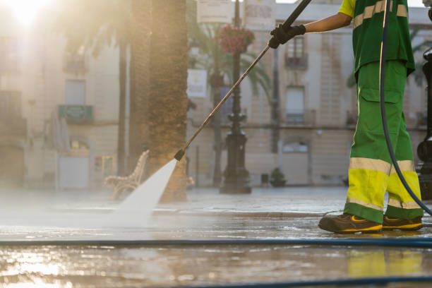 Best Driveway Pressure Washing  in Janesville, MN